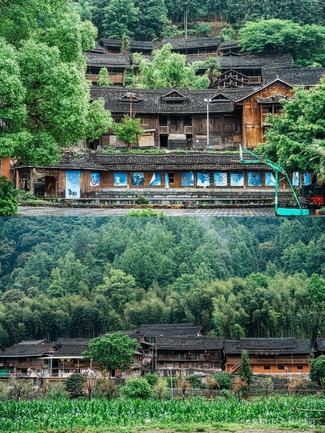 安龍水族店，安龍縣有哪些水族店