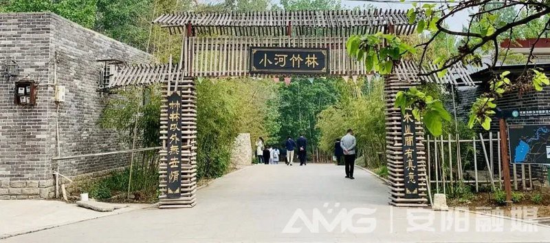 安陽龍魚店，安陽龍魚市場營業時間