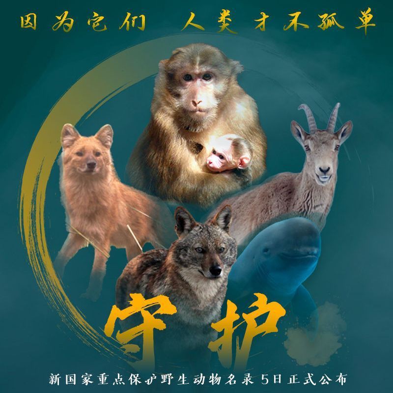 國家一二三級保護動物，中國對野生動物保護動物實施分級保護制度和瀕危劃分