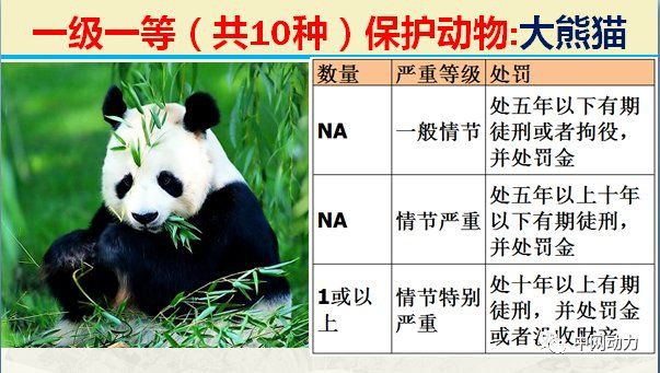 國家一二三級保護動物，中國對野生動物保護動物實施分級保護制度和瀕危劃分