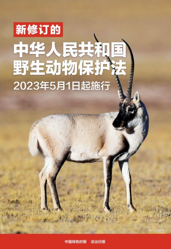 國家一二三級保護動物，中國對野生動物保護動物實施分級保護制度和瀕危劃分