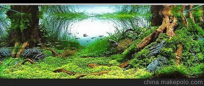 攀枝花魚缸定做，攀枝花大型亞克力魚缸定制