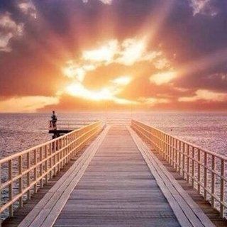 長治水族批發市場，長治水族批發市場是如何形成的？