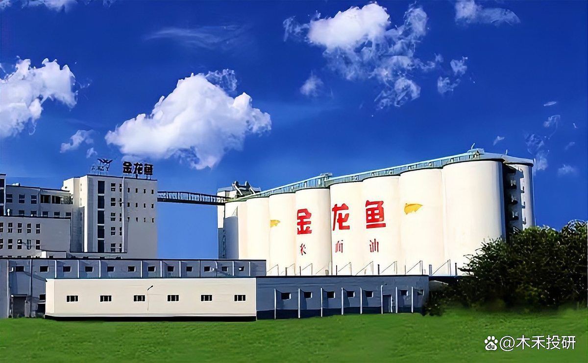 邢臺龍魚店，探尋邢臺美食的好去