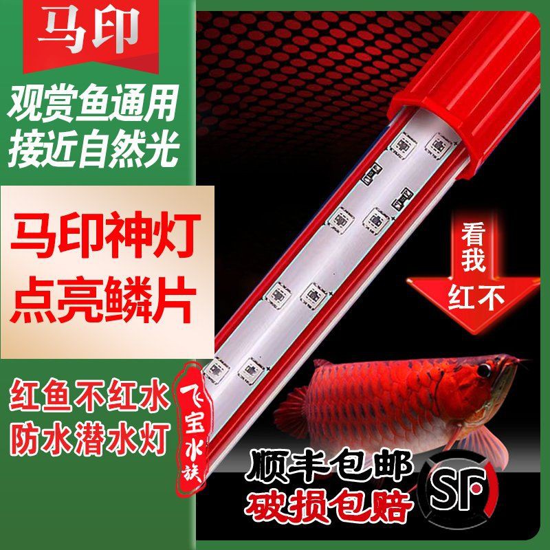馬印神燈和五排廣角增艷燈哪個好用，馬印神燈與五排廣角增艷燈對比