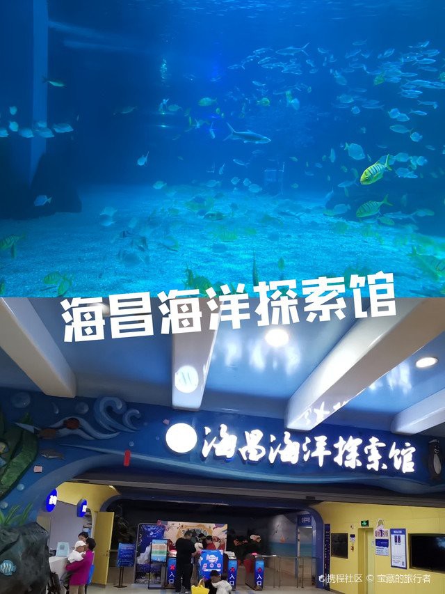 常州水族店，常州哪家水族店口碑最好