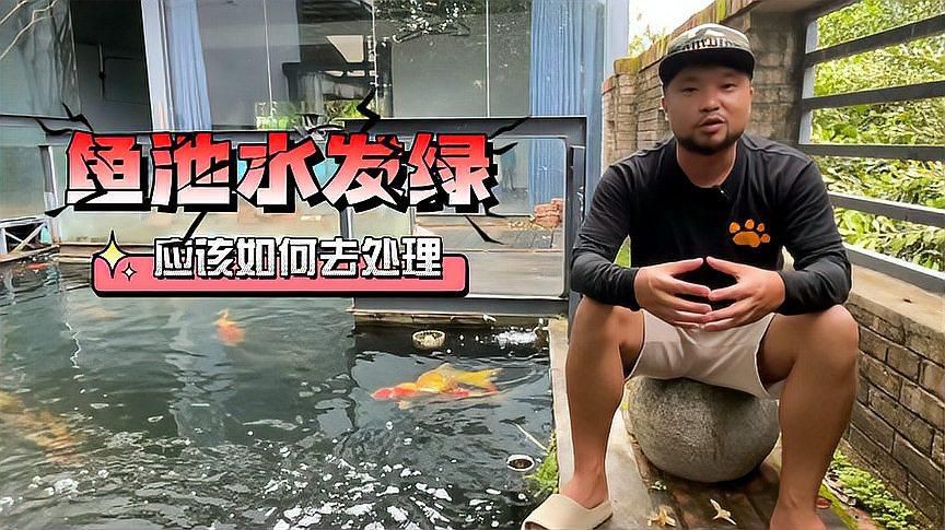 露天魚池水變綠怎么處理，《露天魚池水變綠處理方法摘要》