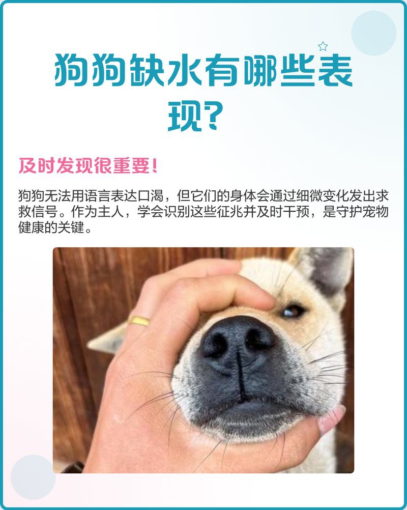 哪些征兆表明小火龍需要補水？，判斷小火龍是否缺水的相關征兆