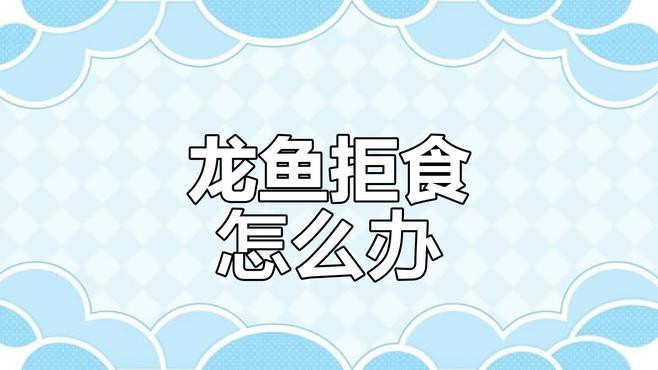 停食期間如何保持龍魚健康？，如何判斷龍魚是否健康？