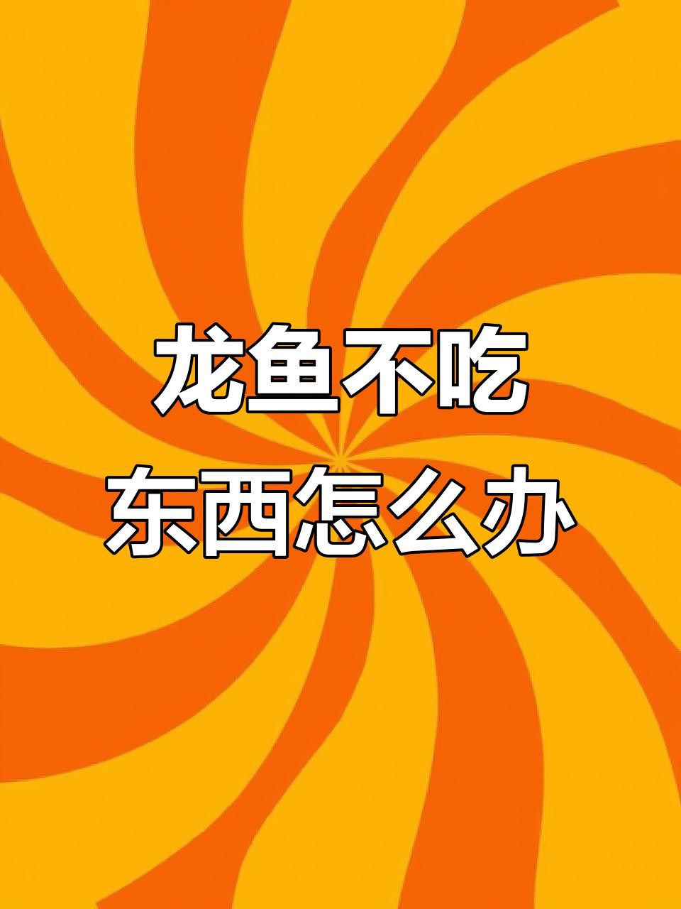 停食期間如何保持龍魚健康？，如何判斷龍魚是否健康？