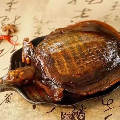臥龍龍魚店，臥龍龍魚店哪家口碑最好