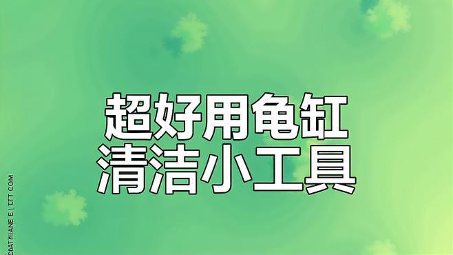 哪些清潔用品適合龍龜？，愛奇藝龜背除藻神器～嘟嘟寶清理龜缸必備