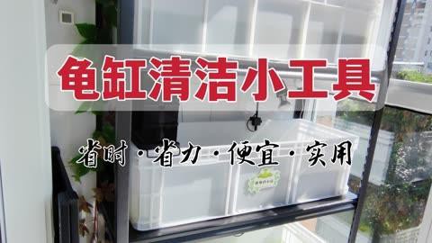 哪些清潔用品適合龍龜？，愛奇藝龜背除藻神器～嘟嘟寶清理龜缸必備