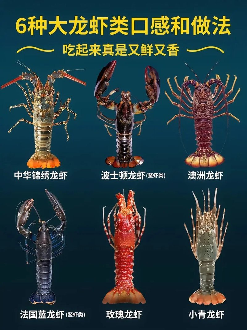 如何描述龍蝦的色彩美學？，——錦繡龍蝦色彩美學