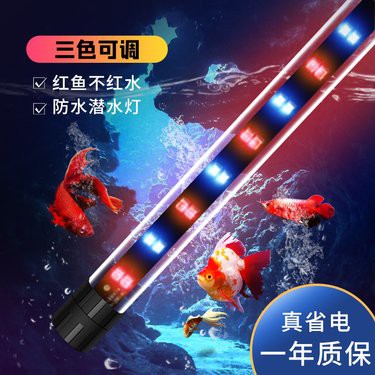 仁和龍魚店，仁和龍魚店怎么樣