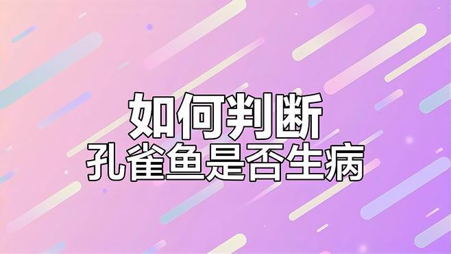 如何判斷紅龍孔雀魚是否健康？，《如何判斷紅龍孔雀魚是否健康》10個關(guān)鍵點教你識別