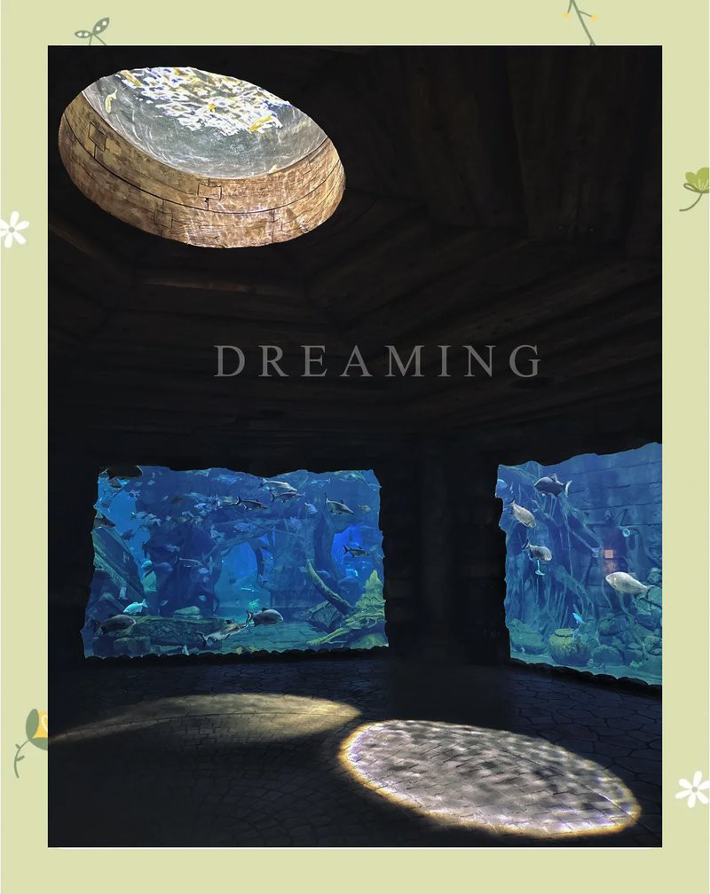 中原水族店，鄭州市中原區擁有多家特色水族店鋪部分仍在營業的店鋪