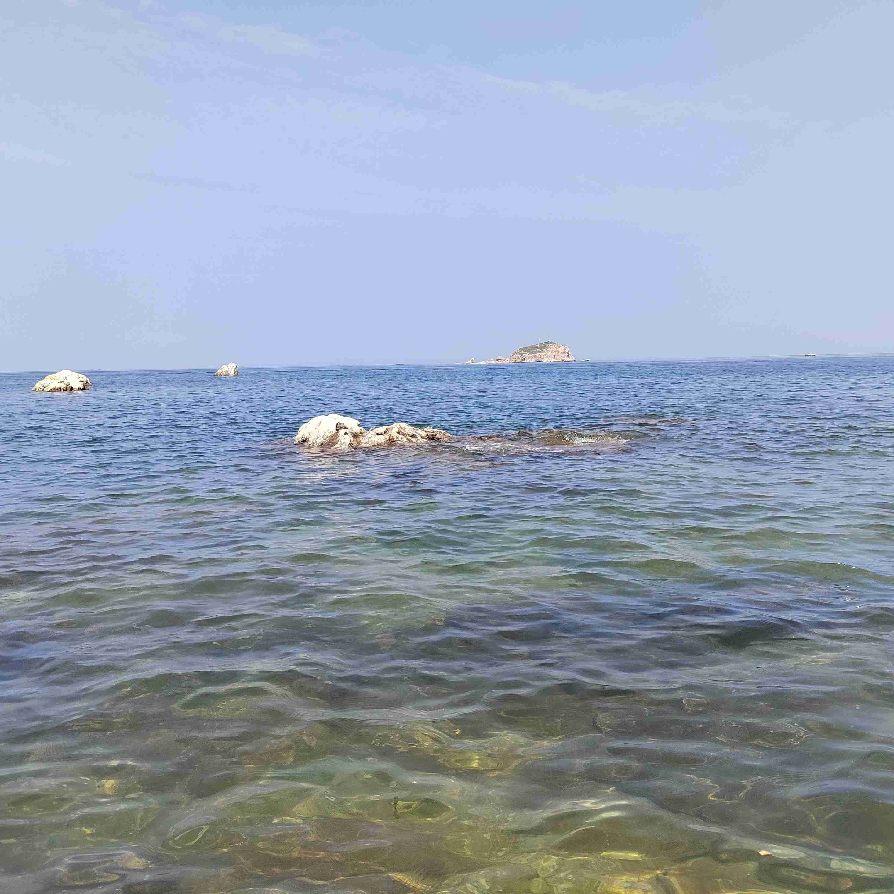 巢湖龍魚店，巢湖紅龍魚價格2688貴嗎