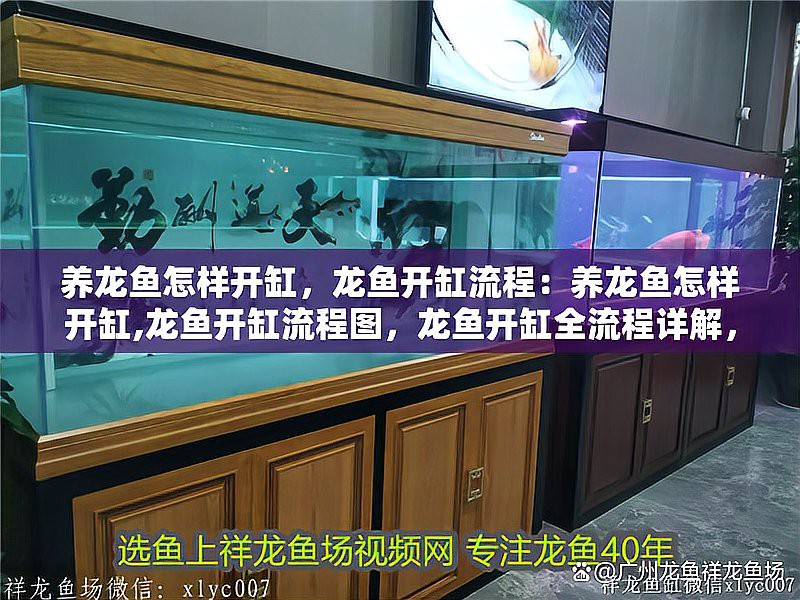 祥龍漁場的龍魚怎樣，祥龍漁場——全球知名的龍魚繁育基地