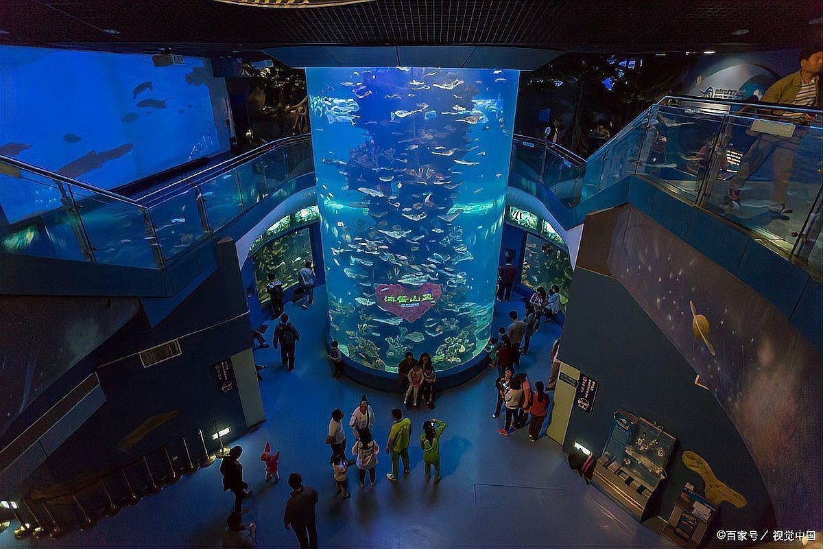 西安水族館，西安曲江海洋極地公園海洋極地公園海洋極地公園—