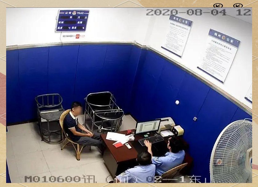 公安水族店，公安縣森森水族館非法交易瀕危動物案例提醒水族行業(yè)經(jīng)營者需嚴(yán)格遵守野生動物保護(hù)法規(guī)