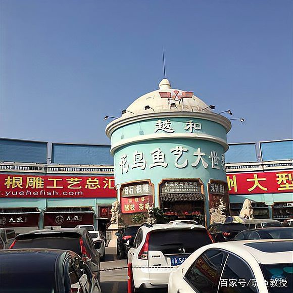 公安水族店，公安縣森森水族館非法交易瀕危動物案例提醒水族行業(yè)經(jīng)營者需嚴(yán)格遵守野生動物保護(hù)法規(guī)