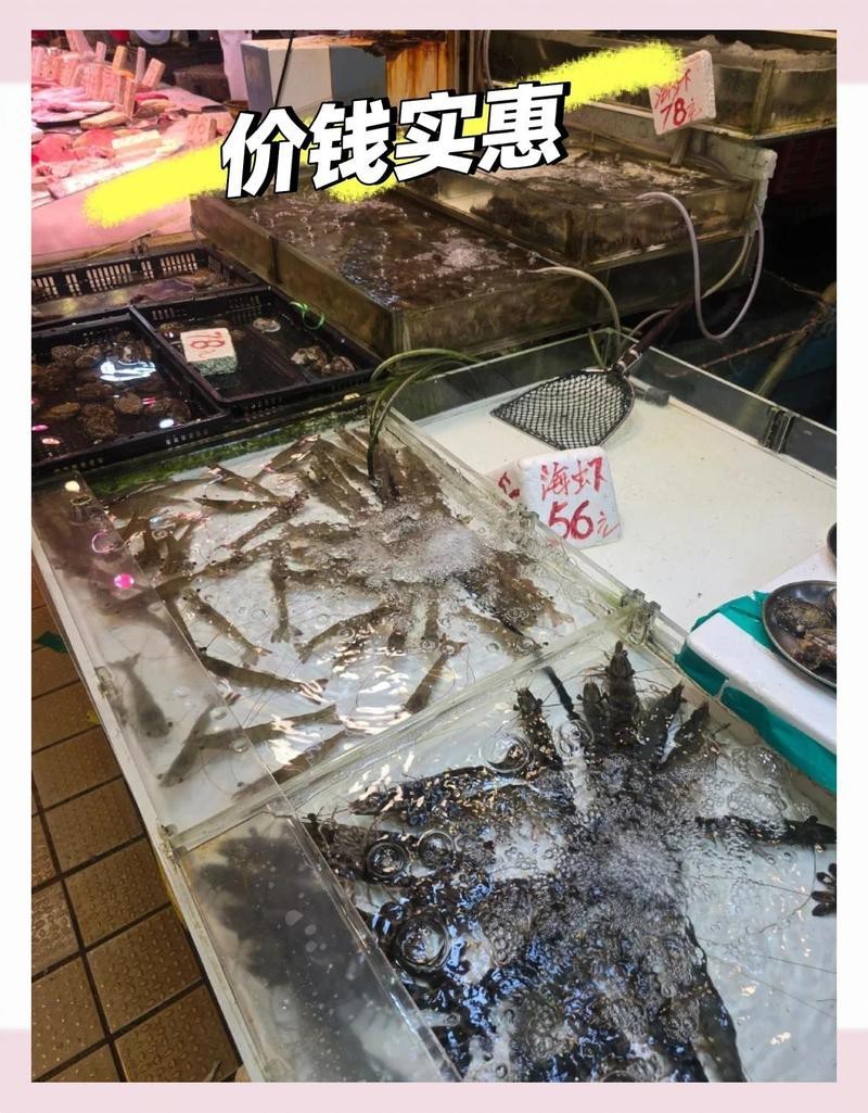 哪里可以買到新鮮的龍躉魚？，哪里可以買到新鮮的龍躉魚武漢也能吃到新鮮龍躉魚