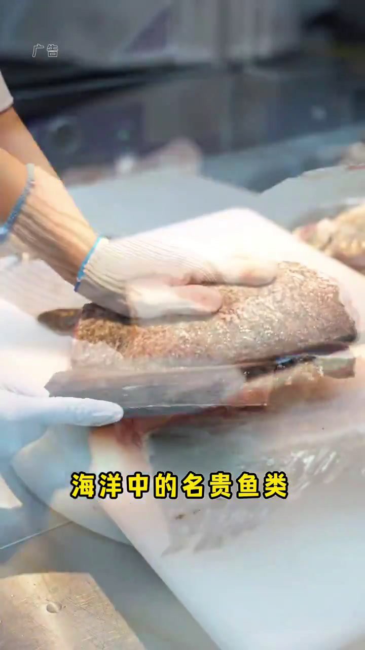 哪里可以買到新鮮的龍躉魚？，哪里可以買到新鮮的龍躉魚武漢也能吃到新鮮龍躉魚