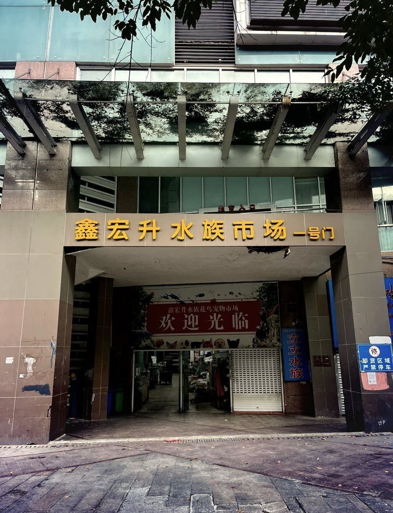 南岸水族店，南岸水族店哪家口碑最好