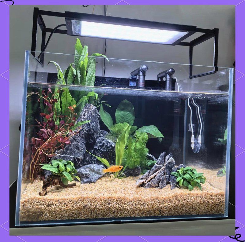 金昌魚缸店，甘肅省金昌市金川區多家水族產品相關店鋪信息