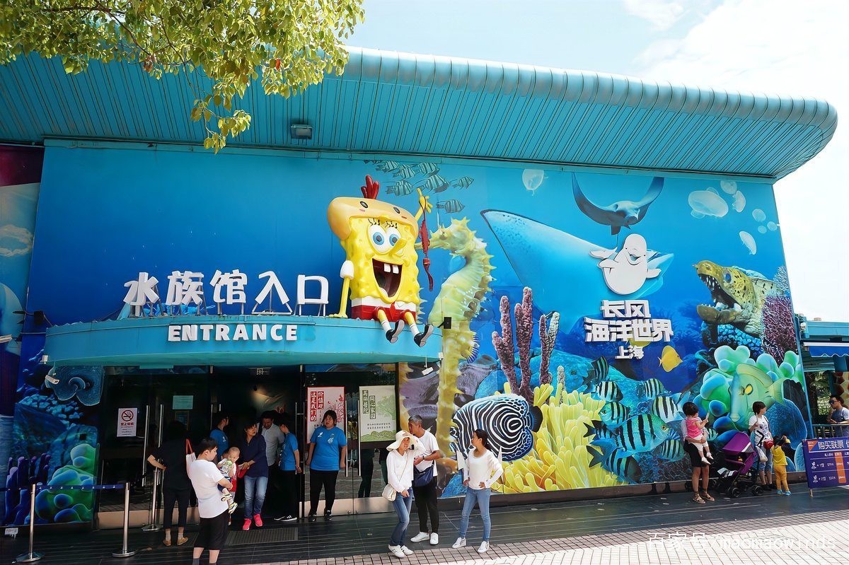 棗陽水族店，上海棗陽路哪家水族店服務最好棗陽路哪家水族店服務最好