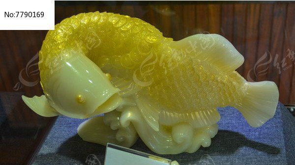 招財(cái)龍魚(yú)圖片尺寸，招財(cái)龍魚(yú)圖片的尺寸相關(guān)內(nèi)容聚焦于招財(cái)龍魚(yú)圖片的內(nèi)容