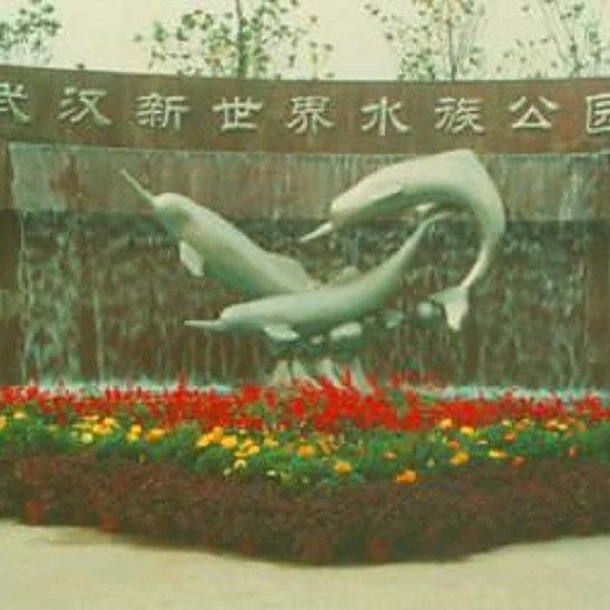 武漢水族店，周末探店-武漢花鳥市場寶藏觀賞魚店，超值體驗! 武漢水族店，周末探店-武漢花鳥市場寶藏觀賞魚店，超值體驗! 全國水族館企業(yè)名錄 第8張