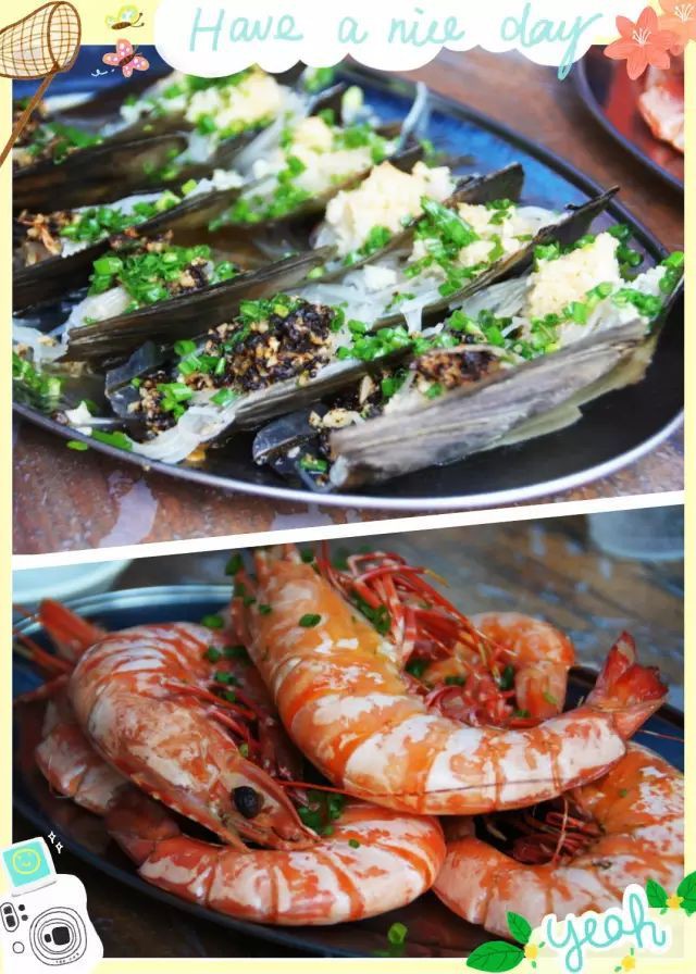 徐州龍魚店，徐州有哪些知名的龍魚養殖場