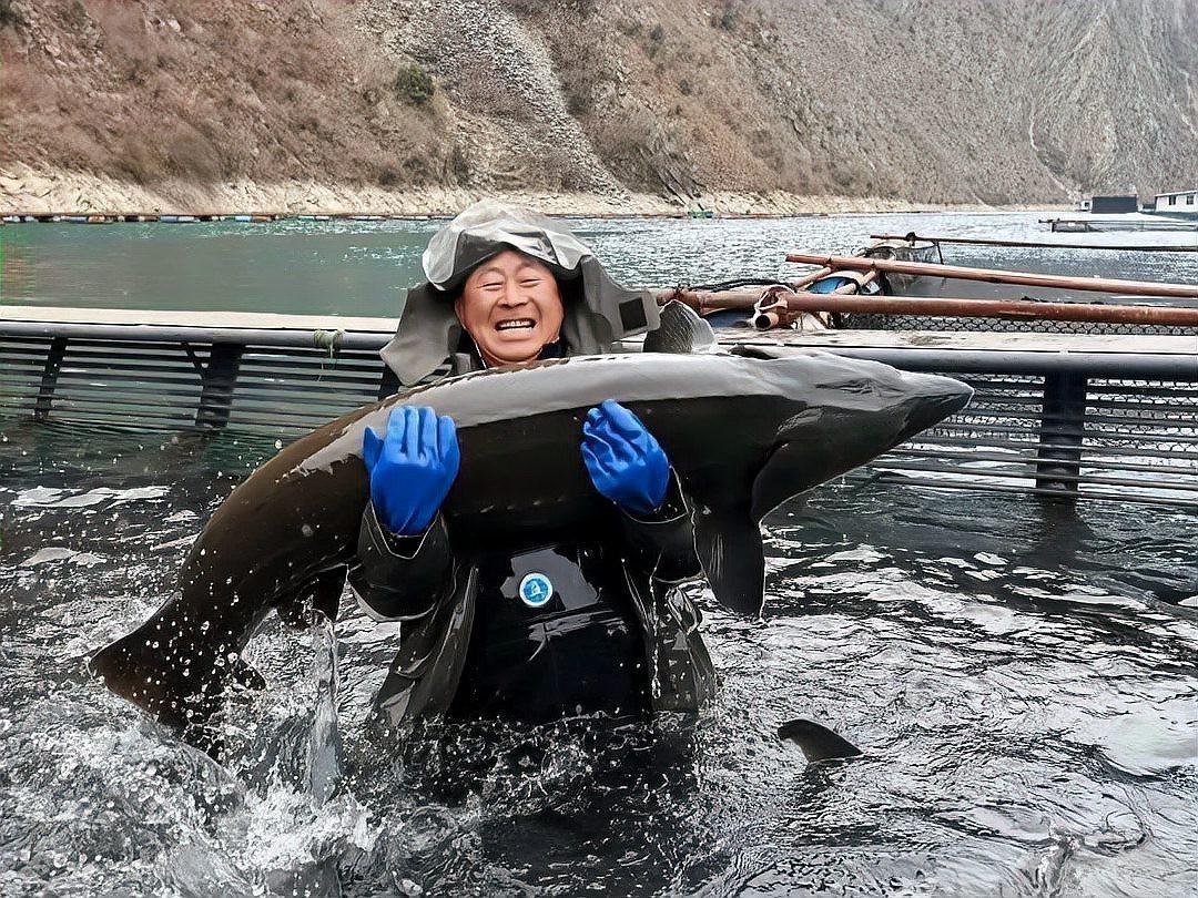 文縣龍魚店，文縣有沒有龍魚專賣店