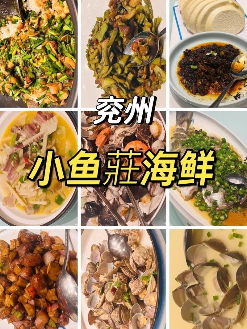 兗州龍魚店，濟寧兗州區慶龍魚館店2020年4月26日開業