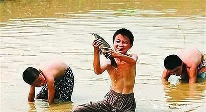 泥鰍圖片大全大圖，水中人參——泥鰍