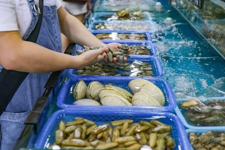 紹興水族批發(fā)市場，紹興人的水族館來了，浙東淡水魚館開門迎客 紹興水族批發(fā)市場，紹興人的水族館來了，浙東淡水魚館開門迎客 全國水族館企業(yè)名錄 第8張