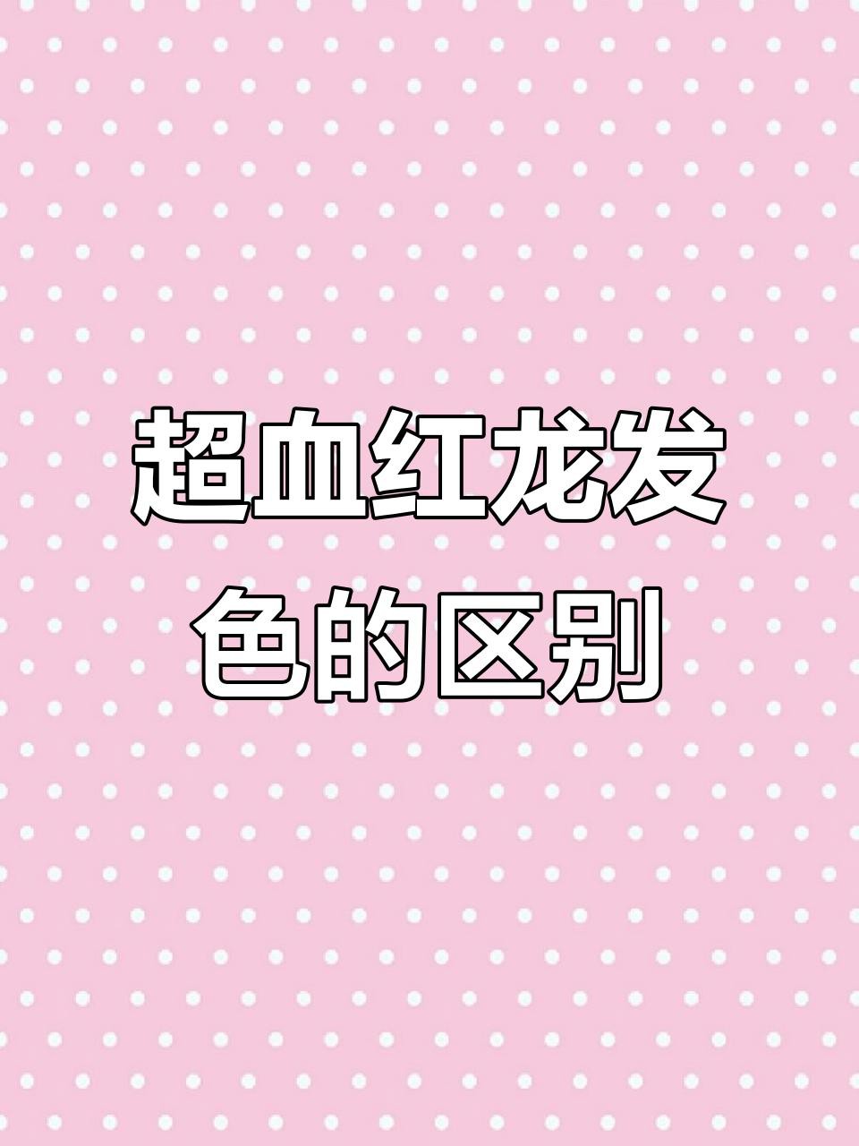 印尼超血紅龍有哪些品種？，印尼超血紅龍屬于什么檔次