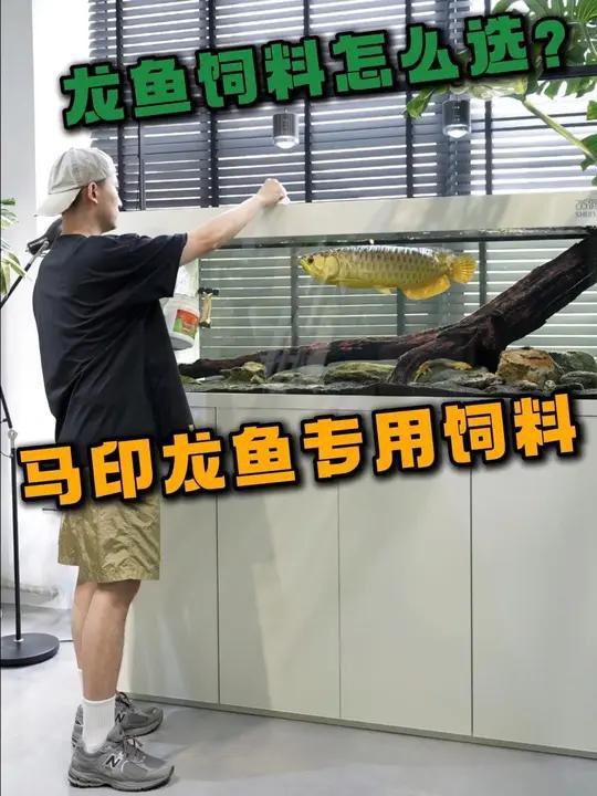 哪種龍魚飼料品牌最好？，龍魚飼料品牌哪個好
