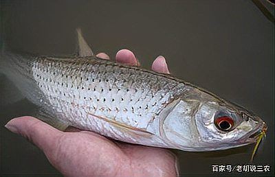 鷹潭水族店，鷹潭市水族店