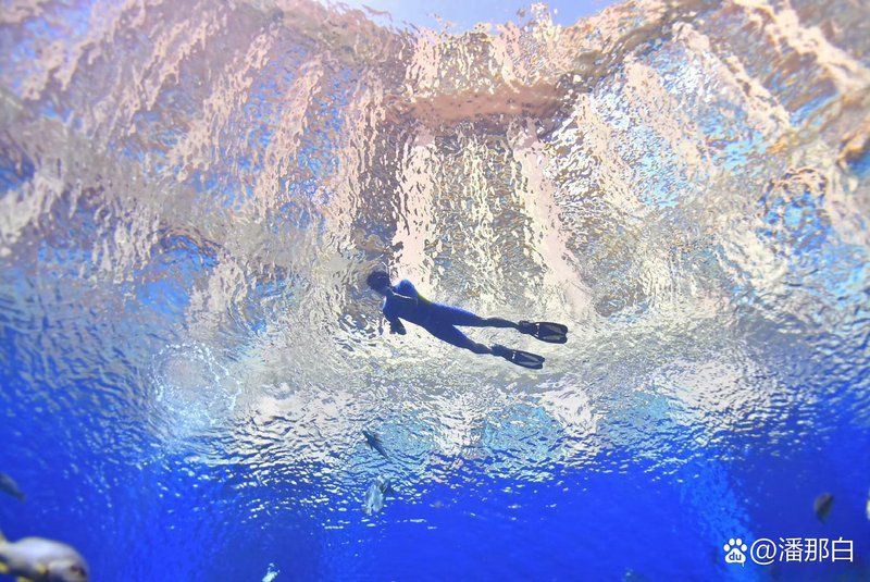 鷹潭水族店，鷹潭市水族店