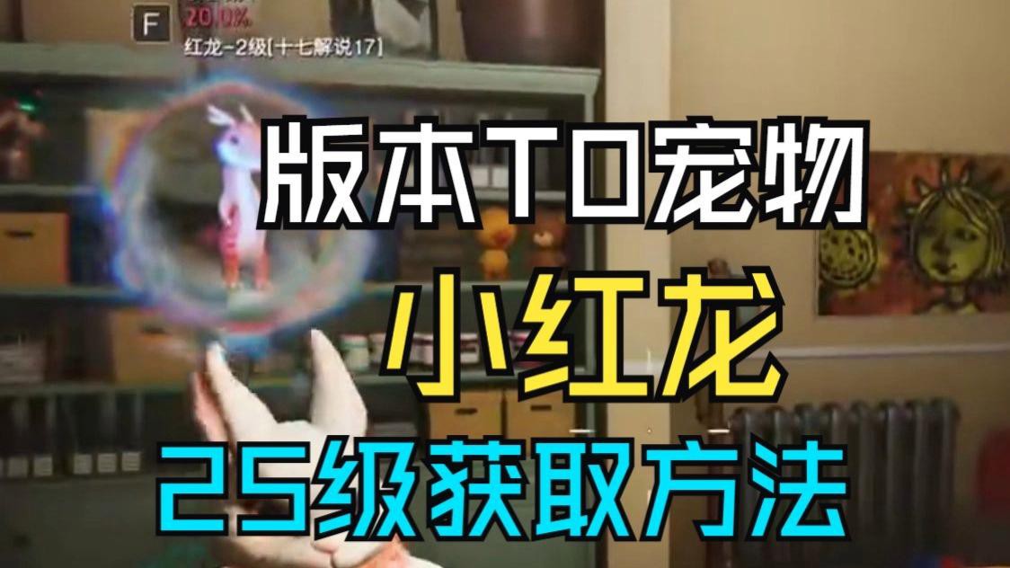 《七日世界》中紅龍級別的提升方法有哪些？，《七日世界》七日世界】三分鐘速刷5級神寵紅龍 《七日世界》中紅龍級別的提升方法有哪些？，《七日世界》七日世界】三分鐘速刷5級神寵紅龍 龍魚百科 第4張