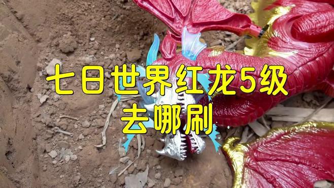 《七日世界》中紅龍級別的提升方法有哪些？，《七日世界》七日世界】三分鐘速刷5級神寵紅龍 《七日世界》中紅龍級別的提升方法有哪些？，《七日世界》七日世界】三分鐘速刷5級神寵紅龍 龍魚百科 第2張