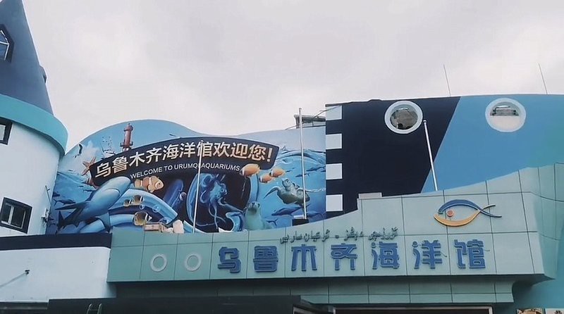 烏魯木齊縣水族店，烏魯木齊縣有沒有專門水族館