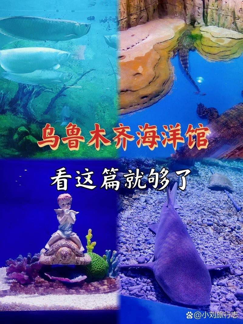 烏魯木齊縣水族店，烏魯木齊縣有沒有專門水族館