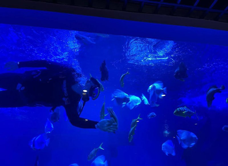 烏魯木齊縣水族店，烏魯木齊縣有沒有專門水族館