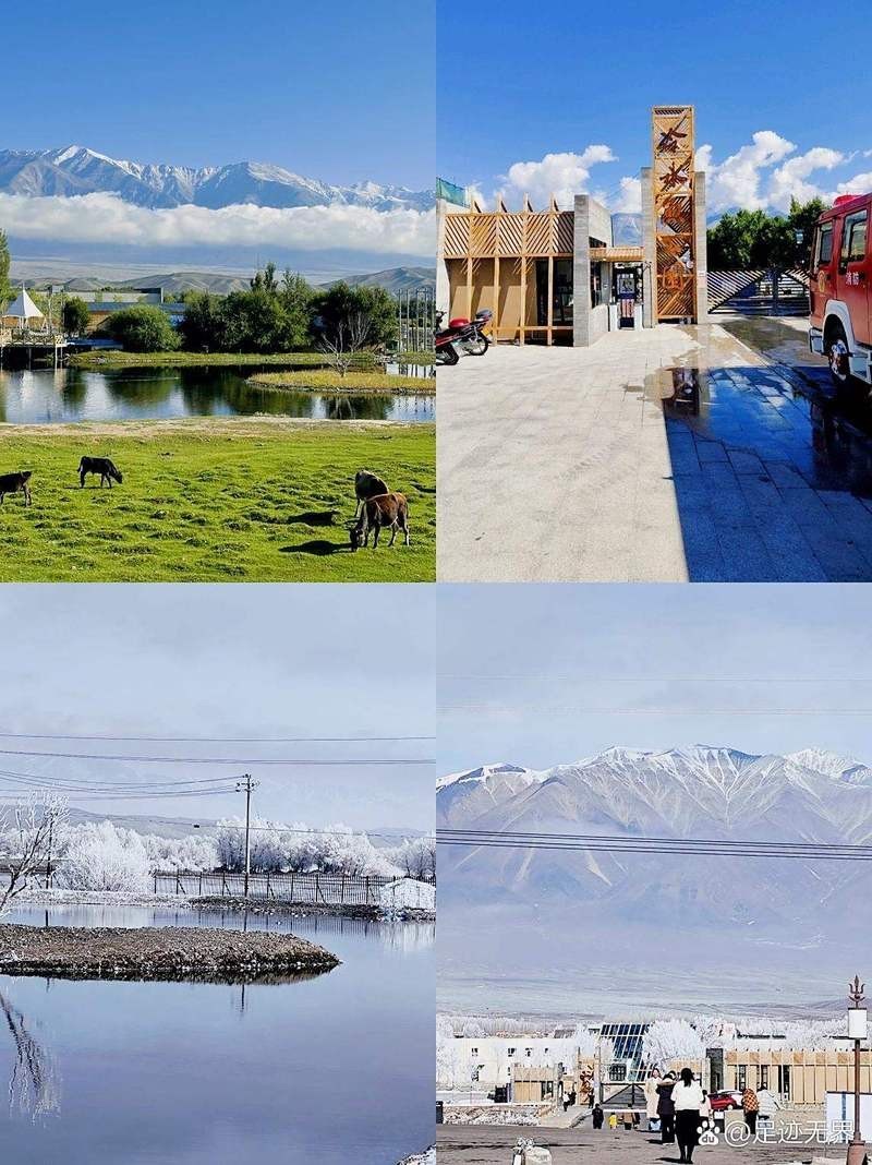 烏魯木齊縣水族店，烏魯木齊縣有沒有專門水族館