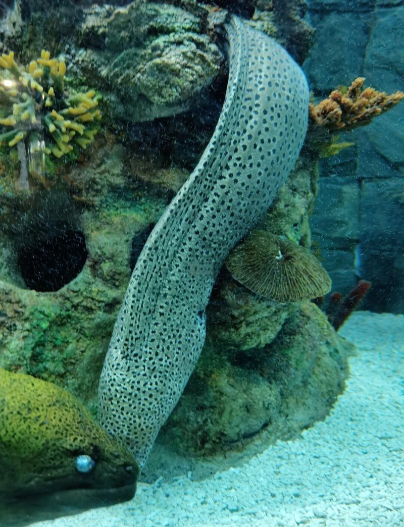 烏魯木齊縣水族店，烏魯木齊縣有沒有專門水族館