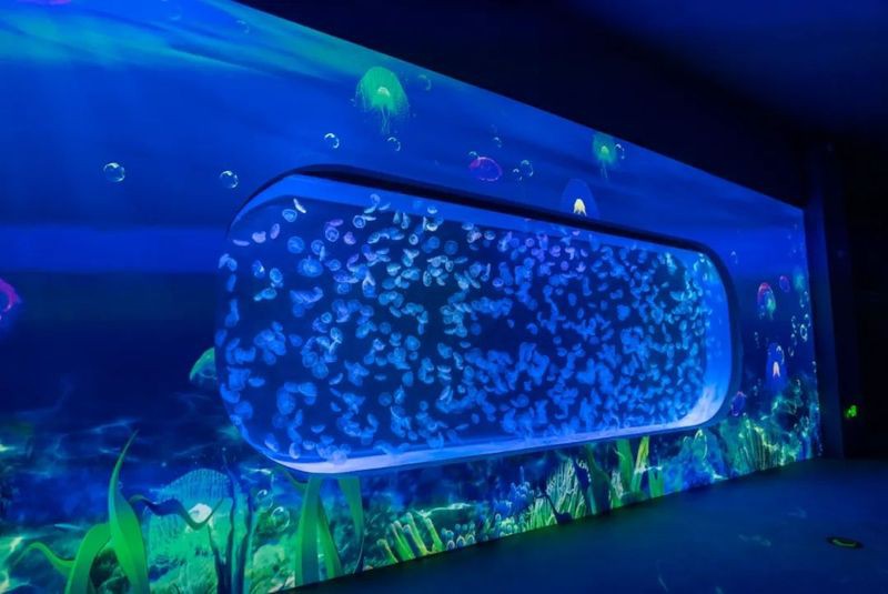 中山水族店，中山市擁有多家特色水族店分布在不同區(qū)域?yàn)槭忻裉峁┒鄻踊?wù)